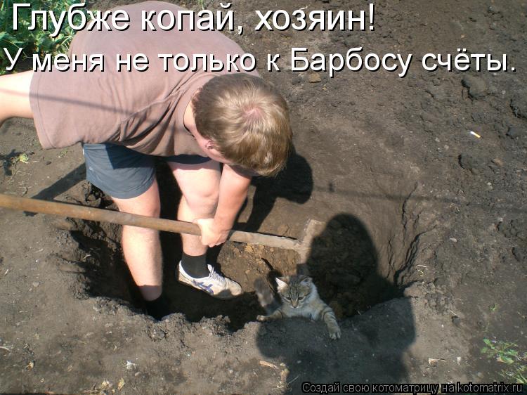 Котоматрица: Глубже копай, хозяин!  У меня не только к Барбосу счёты.