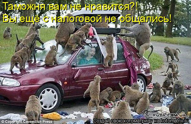 Таможня вам не нравится?! Вы ещё с налоговой не общались!... Котоматрица: Таможня вам не нравится?! Вы ещё с налоговой не общались!