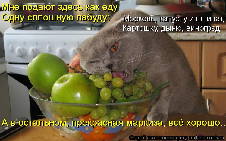 Котоматрица: Одну сплошную лабуду: Мне подают здесь как еду Морковь, капусту и шпинат, Картошку, дыню, виноград. А в остальном, прекрасная маркиза, всё хор