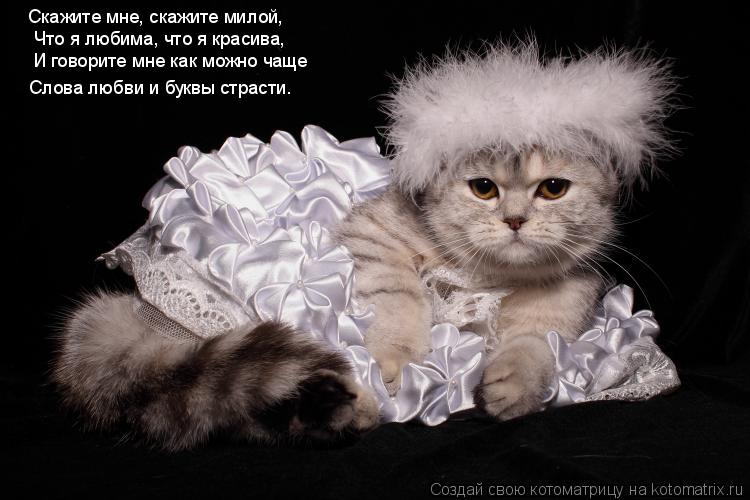 Скажите мне, скажите милой, Что я любима, что я красива, И говорите мне как можно чаще Слова любви и ... Котоматрица: Скажите мне, скажите милой, Что я любима, что я красива, И говорите мне как можно чаще Слова любви и буквы страсти.