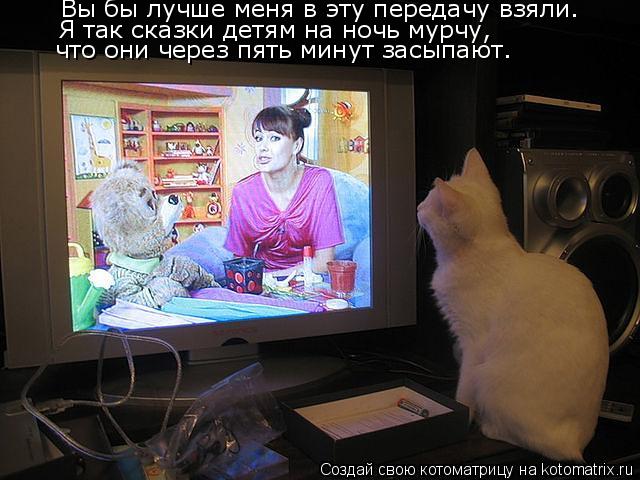 Котоматрица: Вы бы лучше меня в эту передачу взяли. Я так сказки детям на ночь мурчу, что они через пять минут засыпают.