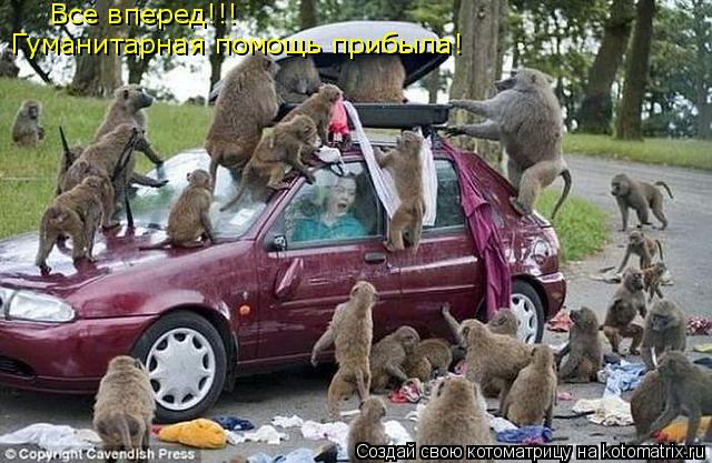 Котоматрица: Все вперед!!! Гуманитарная помощь прибыла!