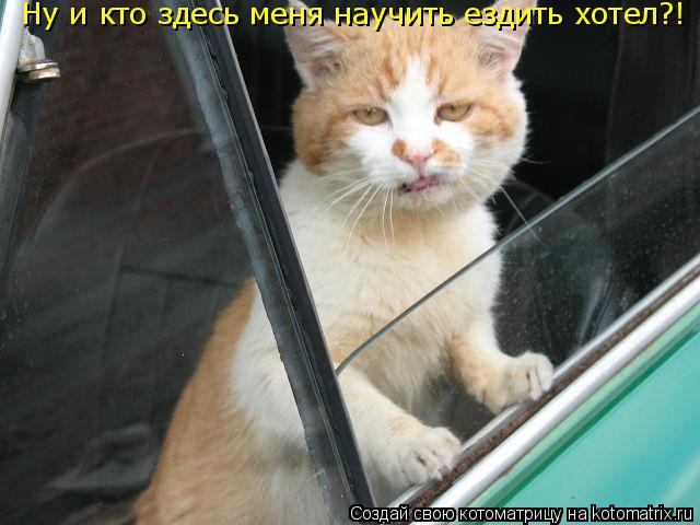 Котоматрица: Ну и кто здесь меня научить ездить хотел?!