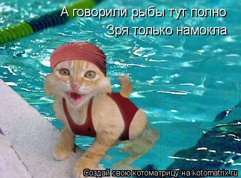 А говорили рыбы тут полно Зря только намокла... Котоматрица: А говорили рыбы тут полно Зря только намокла