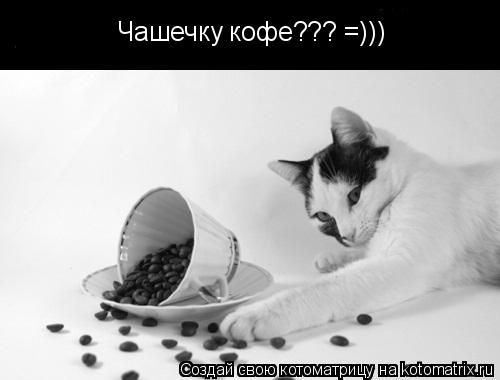Чашечку кофе??? =)))... Котоматрица: Чашечку кофе??? =)))