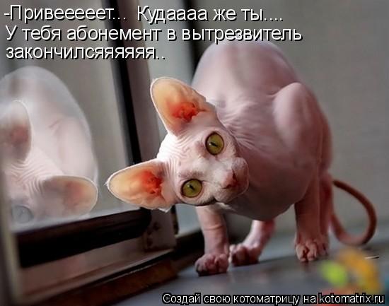 -Привееееет... Кудаааа же ты.... У тебя абонемент в вытрезвитель закончилсяяяяяя..... Котоматрица: -Привееееет... Кудаааа же ты.... У тебя абонемент в вытрезвитель закончилсяяяяяя..