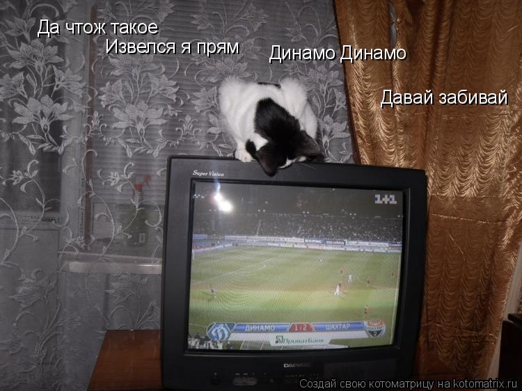 Да чтож такое Извелся я прям Динамо Динамо Давай забивай... Котоматрица: Да чтож такое Извелся я прям Динамо Динамо Давай забивай