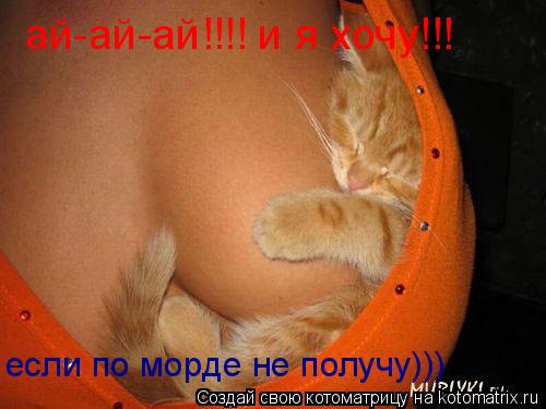 ай-ай-ай!!!! и я хочу!!! если по морде не получу)))... Котоматрица: ай-ай-ай!!!! и я хочу!!! если по морде не получу)))
