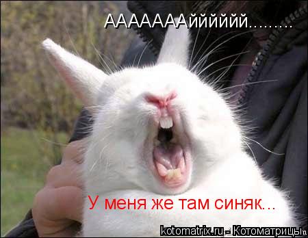 АААААААйййййй......... У меня же там синяк...... Котоматрица: АААААААйййййй......... У меня же там синяк...