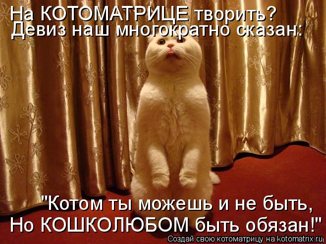 Девиз наш многократно сказан: "Котом ты можешь и не быть, Но КОШКОЛЮБОМ быть обязан!" На КОТОМАТРИЦЕ... Котоматрица: Девиз наш многократно сказан: "Котом ты можешь и не быть, Но КОШКОЛЮБОМ быть обязан!" На КОТОМАТРИЦЕ творить?