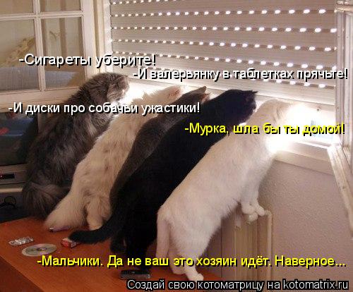 -Сигареты уберите! -И валерьянку в таблетках прячьте! -И диски про собачьи ужастики! -Мурка, шла бы т... Котоматрица: -Сигареты уберите! -И валерьянку в таблетках прячьте! -И диски про собачьи ужастики! -Мурка, шла бы ты домой! -Мальчики. Да не ваш это хозяин ид