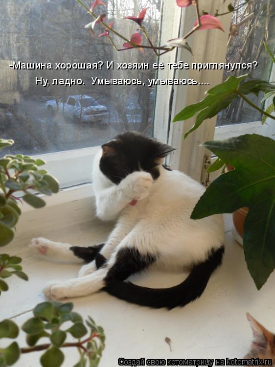 -Машина хорошая? И хозяин её тебе приглянулся? Ну, ладно. Умываюсь, умываюсь....... Котоматрица: -Машина хорошая? И хозяин её тебе приглянулся? Ну, ладно. Умываюсь, умываюсь....