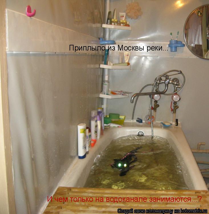 Приплыло из Москвы реки... И чем только на водоканале занимаются...?... Котоматрица: Приплыло из Москвы реки... И чем только на водоканале занимаются...?