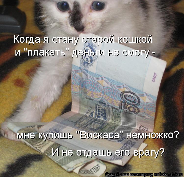 Когда я стану старой кошкой и "плакать" деньги не смогу - мне купишь "Вискаса" немножко? И не отда... Котоматрица: Когда я стану старой кошкой и "плакать" деньги не смогу - мне купишь "Вискаса" немножко? И не отдашь его врагу?