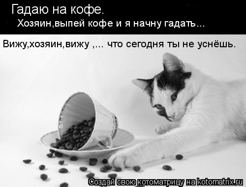 Гадаю на кофе. Вижу,хозяин,вижу ,... что сегодня ты не уснёшь. Хозяин,выпей кофе и я начну гадать...... Котоматрица: Гадаю на кофе. Вижу,хозяин,вижу ,... что сегодня ты не уснёшь. Хозяин,выпей кофе и я начну гадать...