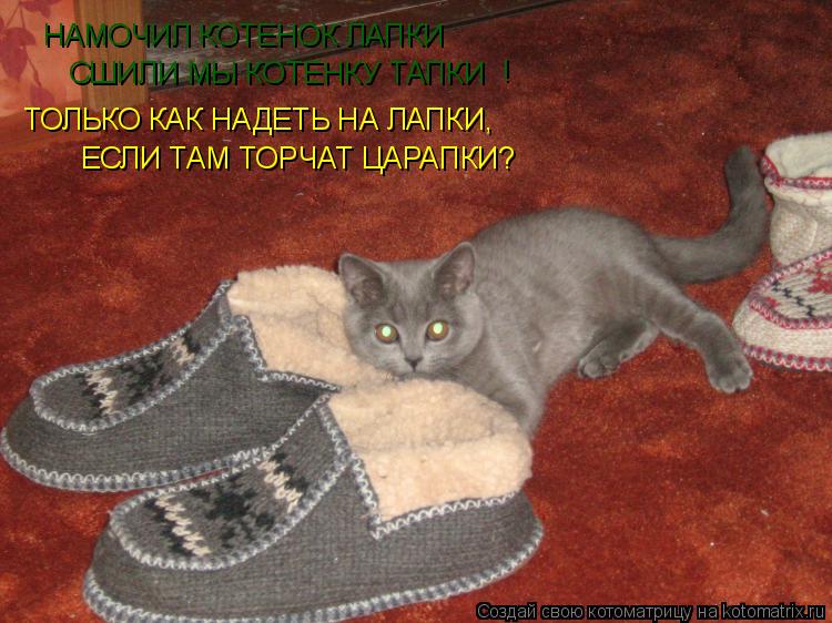 НАМОЧИЛ КОТЕНОК ЛАПКИ СШИЛИ МЫ КОТЕНКУ ТАПКИ ТОЛЬКО КАК НАДЕТЬ НА ЛАПКИ, ЕСЛИ ТАМ ТОРЧАТ ЦАРАПКИ? !... Котоматрица: НАМОЧИЛ КОТЕНОК ЛАПКИ СШИЛИ МЫ КОТЕНКУ ТАПКИ ТОЛЬКО КАК НАДЕТЬ НА ЛАПКИ, ЕСЛИ ТАМ ТОРЧАТ ЦАРАПКИ? !