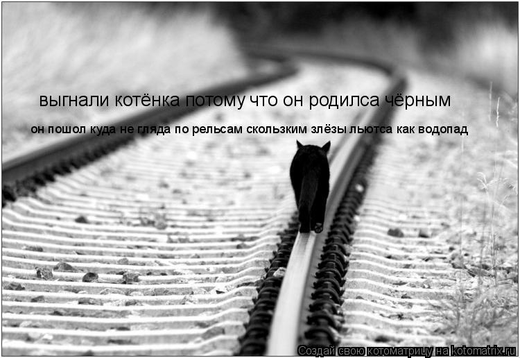 Котоматрица: выгнали котёнка потому что он родилса чёрным он пошол куда не гляда по рельсам скользким злёзы льютса как водопад