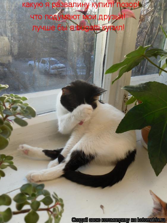 Котоматрица: какую я развалину купил! позор!  что подумают мои друзья!  лучше бы я bugatti купил!