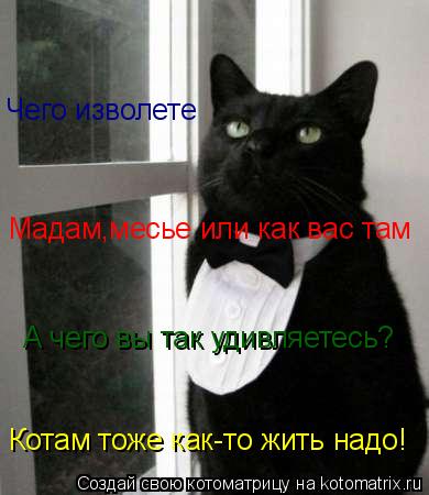 Котоматрица: Чего изволете Мадам,месье или как вас там А чего вы так удивляетесь? Котам тоже как-то жить надо!