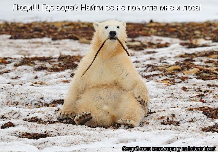 Котоматрица: Люди!!! Где вода? Найти ее не помогла мне и лоза!