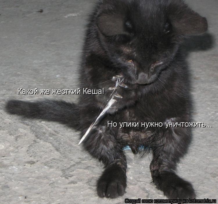 Котоматрица: Какой же жесткий Кеша! Но улики нужно уничтожить...
