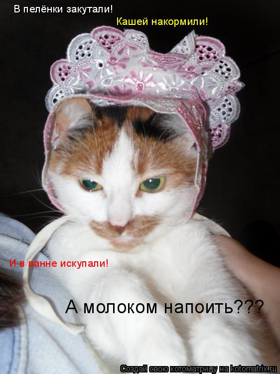 Котоматрица: В пелёнки закутали! Кашей накормили! И в ванне искупали! А молоком напоить???