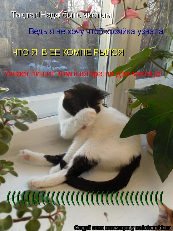 Котоматрица: Так,так!Надо быть чистым! Ведь я не хочу чтоб хозяйка узнала ЧТО Я  В ЕЕ КОМПЕ РЫЛСЯ Узнает,лишит компьютора на два месяца! ((((((((((((((((((((((((((