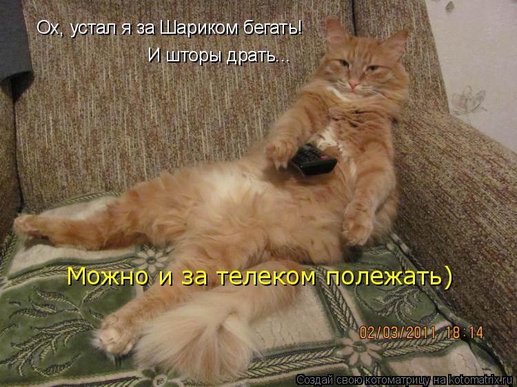 Котоматрица: Ох, устал я за Шариком бегать! И шторы драть... Можно и за телеком полежать)