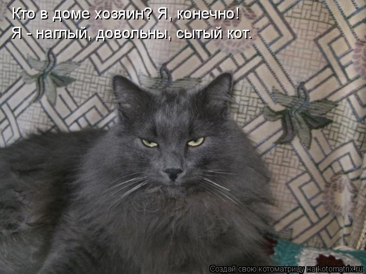 Котоматрица: Кто в доме хозяин? Я, конечно!  Я - наглый, довольны, сытый кот.
