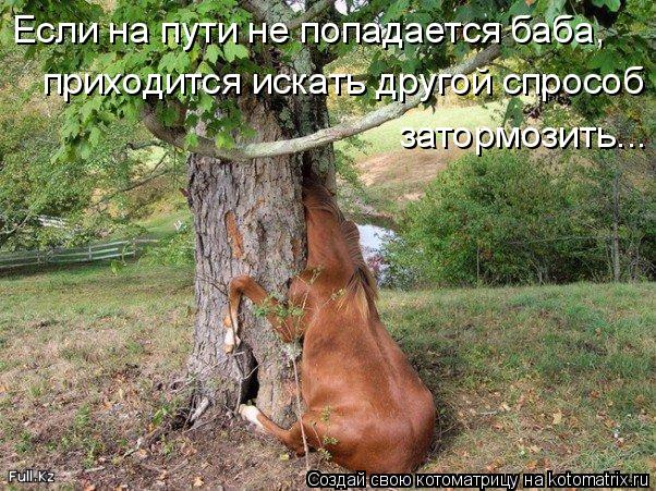Котоматрица: Если на пути не попадается баба, приходится искать другой спрособ  затормозить...
