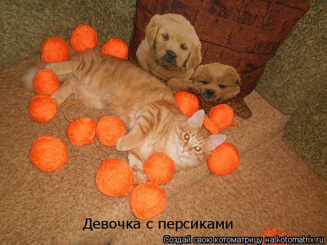 Девочка с персиками... Котоматрица: Девочка с персиками