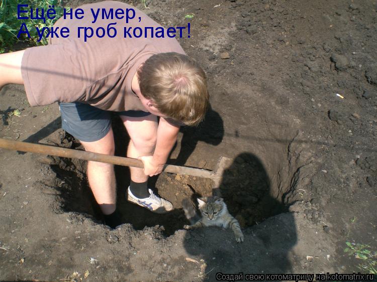 Ещё не умер, А уже гроб копает!... Котоматрица: Ещё не умер, А уже гроб копает!