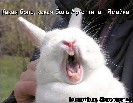 Какая боль, какая боль Аpгентина - Ямайка... Котоматрица: Какая боль, какая боль Аpгентина - Ямайка