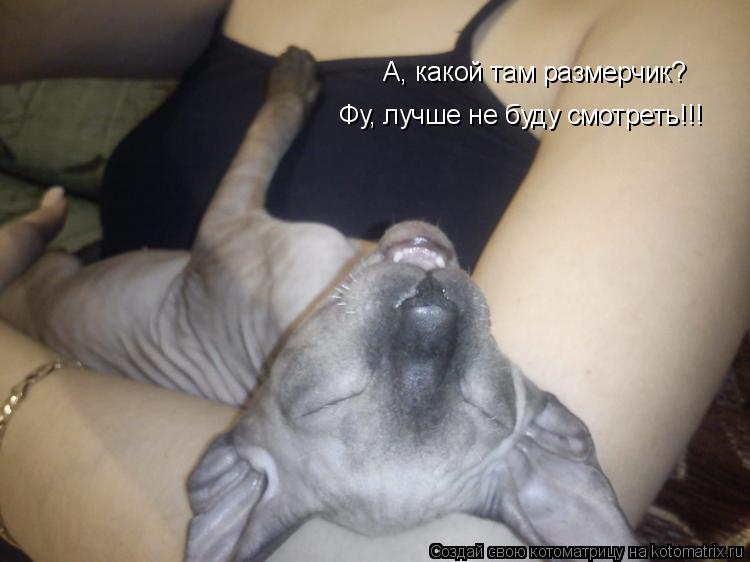 А, какой там размерчик? А, какой там размерчик? Фу, лучше не буду смотреть!!! Фу, лучше не буду смотр... Котоматрица: А, какой там размерчик? А, какой там размерчик? Фу, лучше не буду смотреть!!! Фу, лучше не буду смотреть!!!