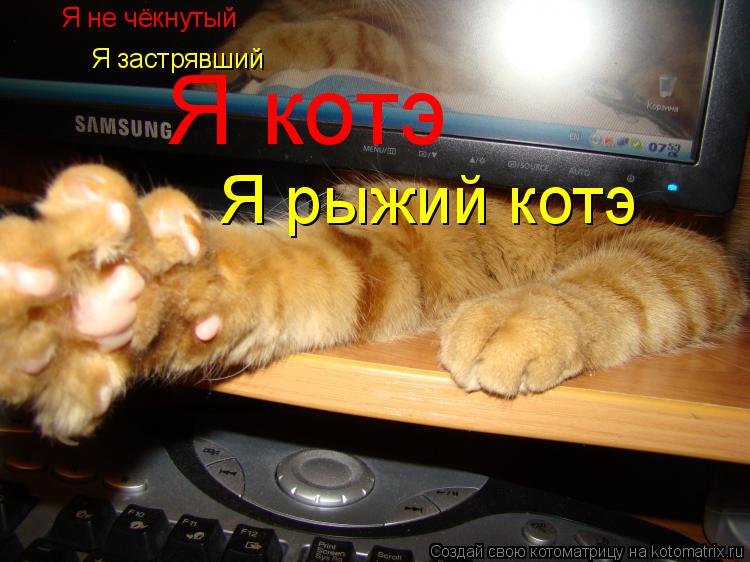 Я не чёкнутый Я застрявший Я котэ Я рыжий котэ... Котоматрица: Я не чёкнутый Я застрявший Я котэ Я рыжий котэ