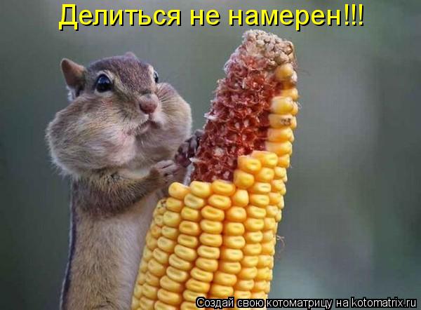 Делиться не намерен!!!... Котоматрица: Делиться не намерен!!!