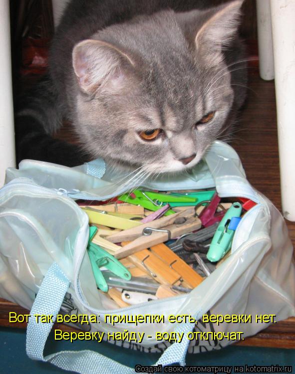 Вот так всегда: прищепки есть, веревки нет. Веревку найду - воду отключат.... Котоматрица: Вот так всегда: прищепки есть, веревки нет. Веревку найду - воду отключат.