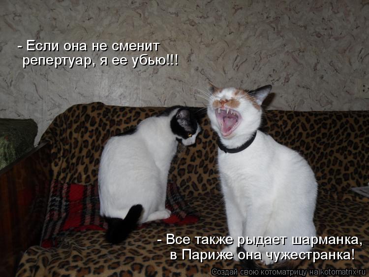 - Если она не сменит репертуар, я ее убью!!! - Все также рыдает шарманка, в Париже она чужестранка!... Котоматрица: - Если она не сменит репертуар, я ее убью!!! - Все также рыдает шарманка, в Париже она чужестранка!
