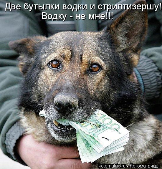 Две бутылки водки и стриптизершу! Водку - не мне!!!... Котоматрица: Две бутылки водки и стриптизершу! Водку - не мне!!!