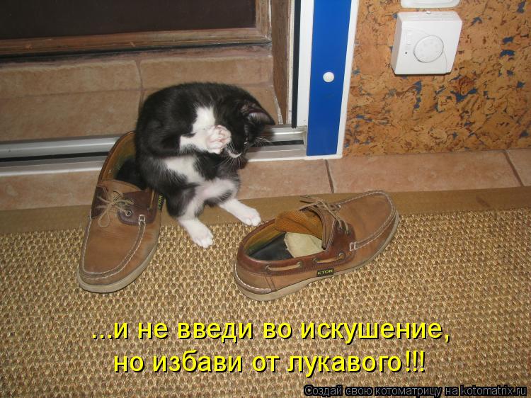...и не введи во искушение, но избави от лукавого!!!... Котоматрица: ...и не введи во искушение, но избави от лукавого!!!