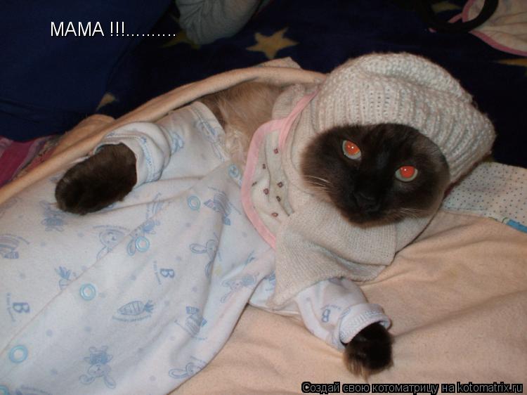 MAMA !!!............. Котоматрица: MAMA !!!..........