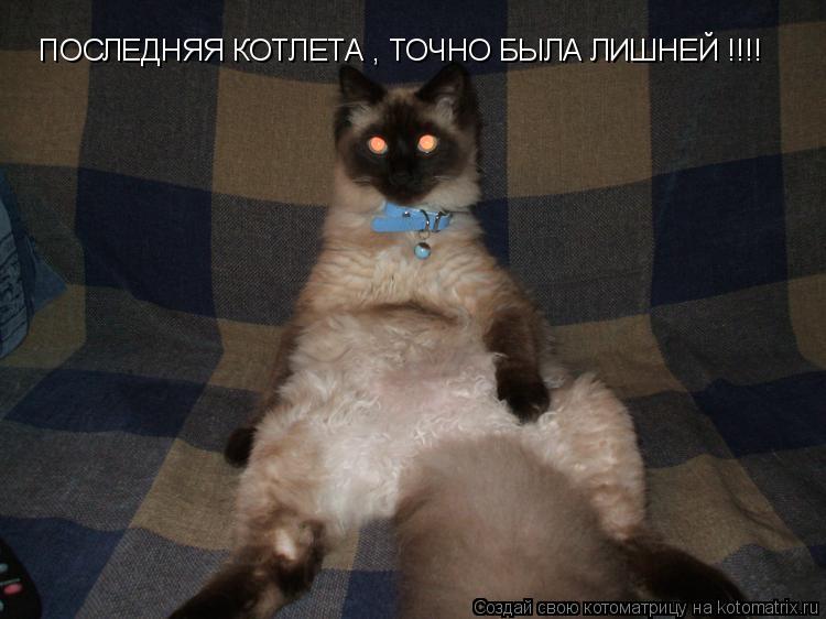 ПОСЛЕДНЯЯ КОТЛЕТА , ТОЧНО БЫЛА ЛИШНЕЙ !!!!... Котоматрица: ПОСЛЕДНЯЯ КОТЛЕТА , ТОЧНО БЫЛА ЛИШНЕЙ !!!!