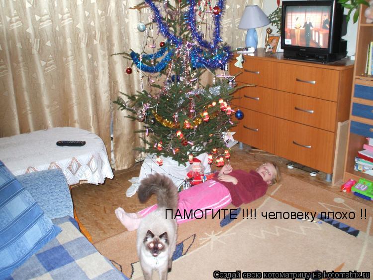 ПАМОГИТЕ !!!! человеку плохо !!... Котоматрица: ПАМОГИТЕ !!!! человеку плохо !!