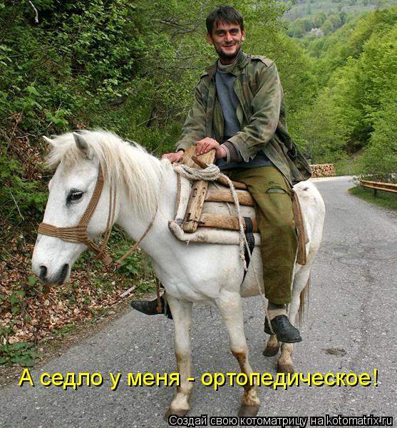 А седло у меня - ортопедическое!... Котоматрица: А седло у меня - ортопедическое!