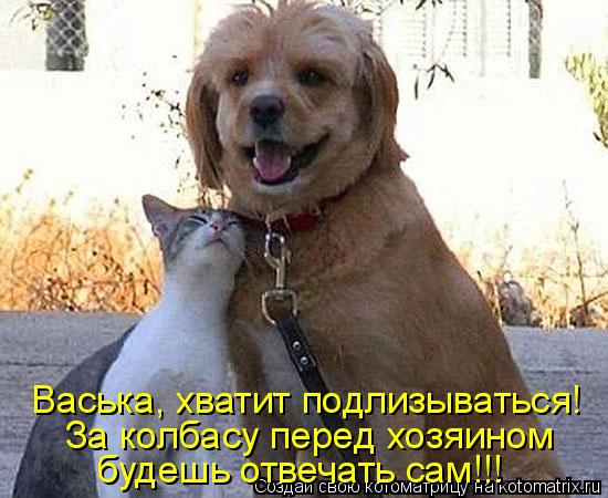 Васька, хватит подлизываться! За колбасу перед хозяином будешь отвечать сам!!!... Котоматрица: Васька, хватит подлизываться! За колбасу перед хозяином будешь отвечать сам!!!