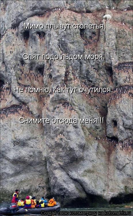 Мимо плывут столетья, Спят подо льдом моря. Не помню, как тут очутился. Снимите отсюда меня!!!... Котоматрица: Мимо плывут столетья, Спят подо льдом моря. Не помню, как тут очутился. Снимите отсюда меня!!!