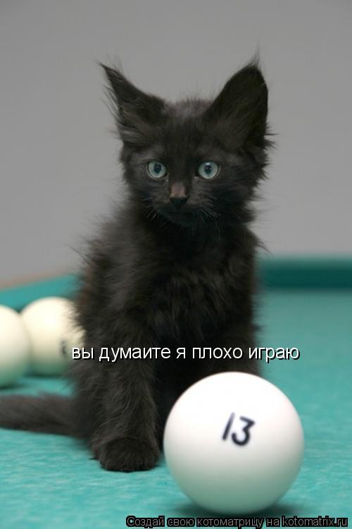 вы думаите я плохо играю... Котоматрица: вы думаите я плохо играю