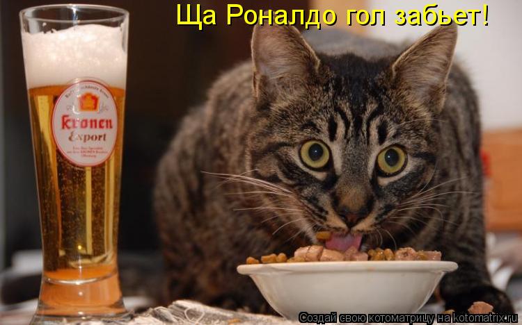 Ща Роналдо гол забьет!... Котоматрица: Ща Роналдо гол забьет!