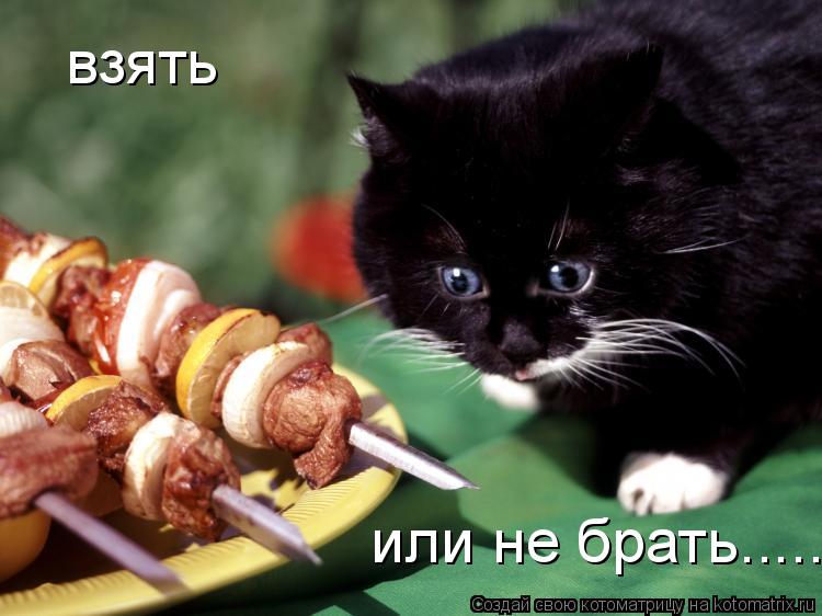 взять или не брать........ Котоматрица: взять или не брать.....