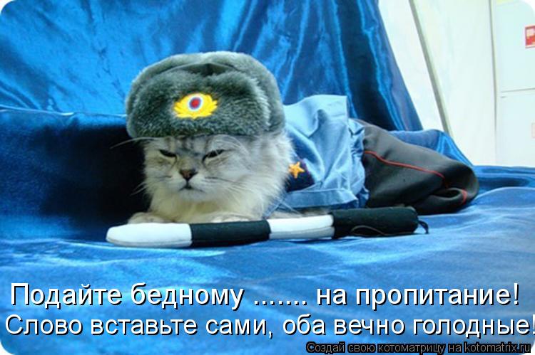 Подайте бедному ....... на пропитание! Слово вставьте сами, оба вечно голодные!... Котоматрица: Подайте бедному ....... на пропитание! Слово вставьте сами, оба вечно голодные!